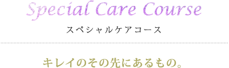 Perfect Care Course パーフェクトケアコース