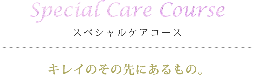Perfect Care Course パーフェクトケアコース